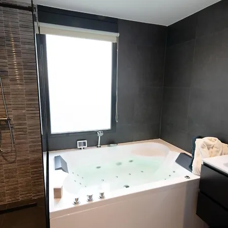 Wellness With Whirlpool And Sauna Zevenhuizen (Zuidplas)