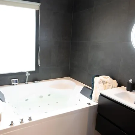 Wellness With Whirlpool And Sauna * Zevenhuizen (Zuidplas)